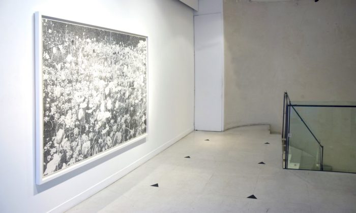 Galerie Rosa Turetsky