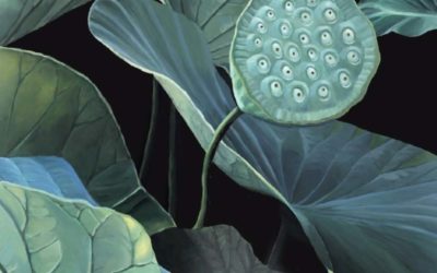 Seeds of Lotus I de Clarissa Valaeys