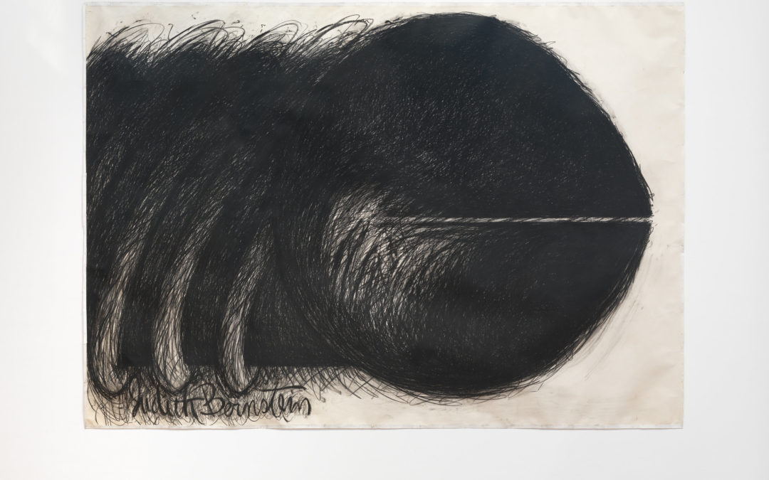 L’image du jour: Horizontal de Judith Bernstein