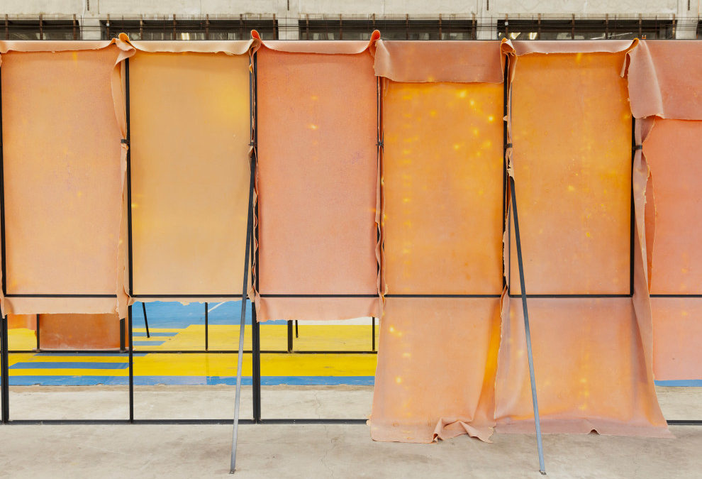 Liesl Raff –  A Corridor, a Room, and Four Dens