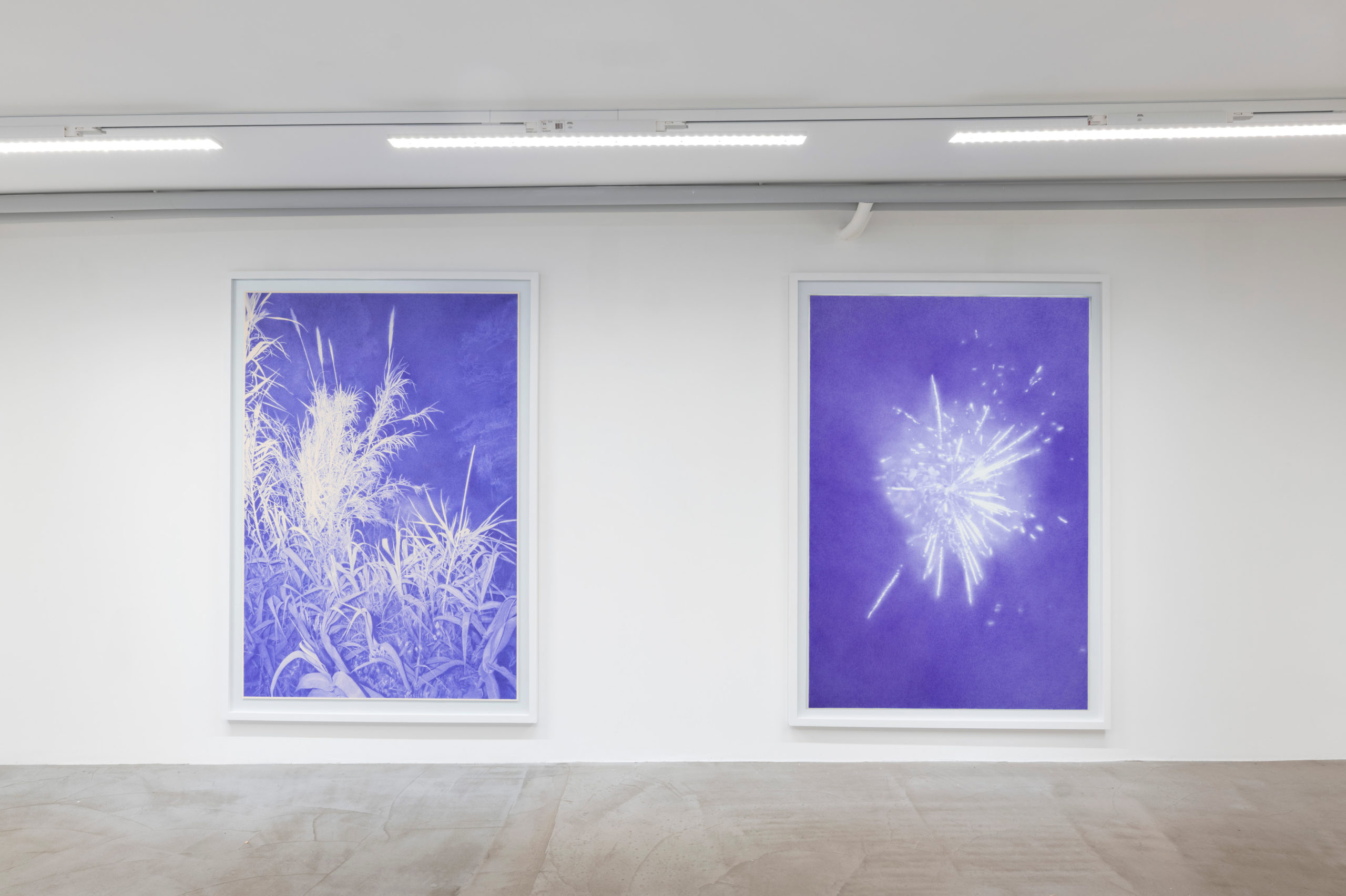 2025-11-WILDE-Robin-WEN-Expo-01-copie-scaled