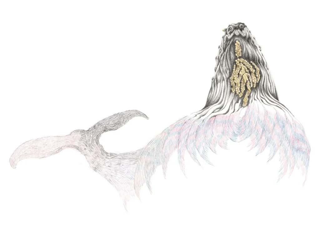 Sylvie_Mermoud_Pierre_Bonard_Baleinoide