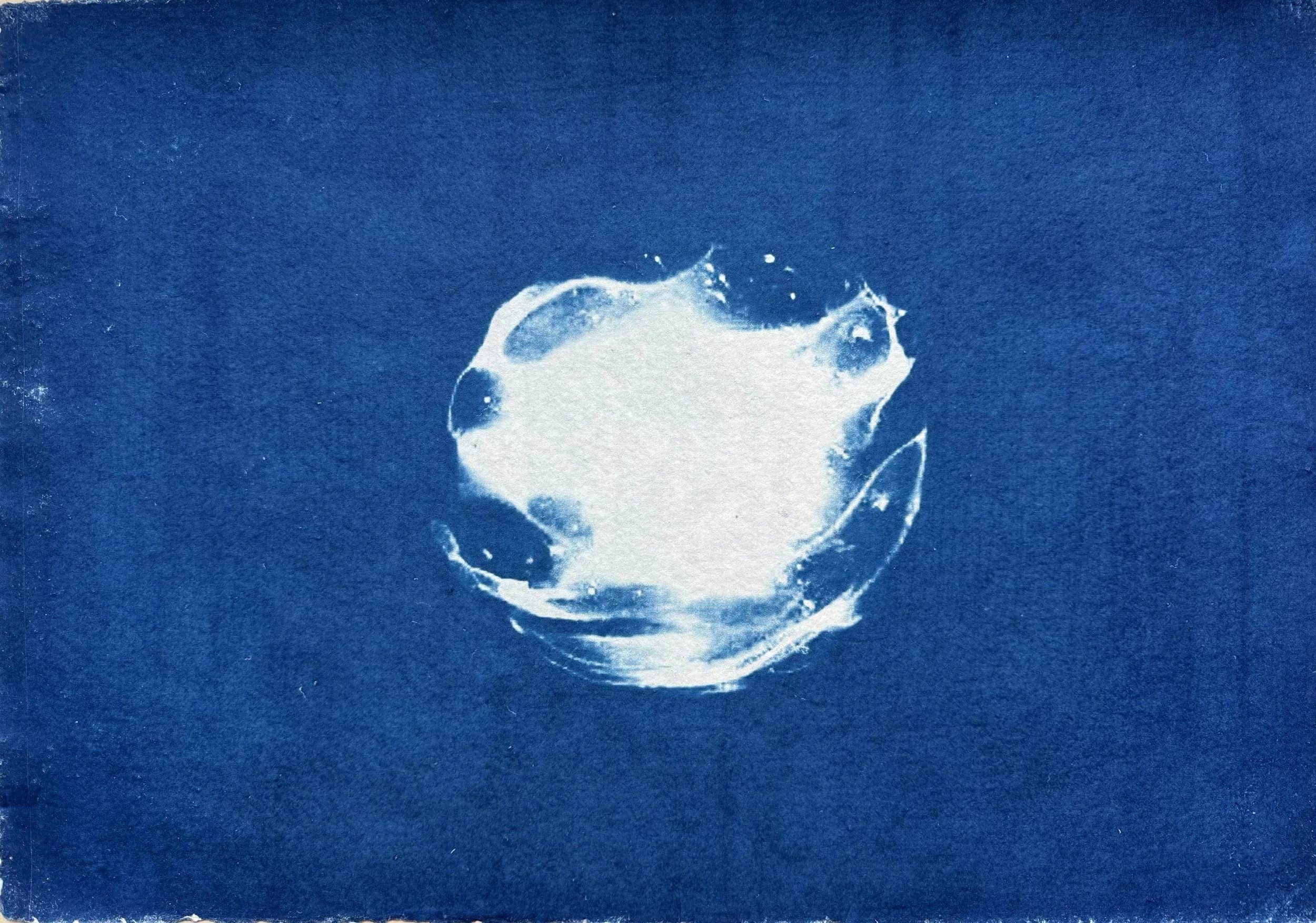 Turner_sEye_Cyanotype