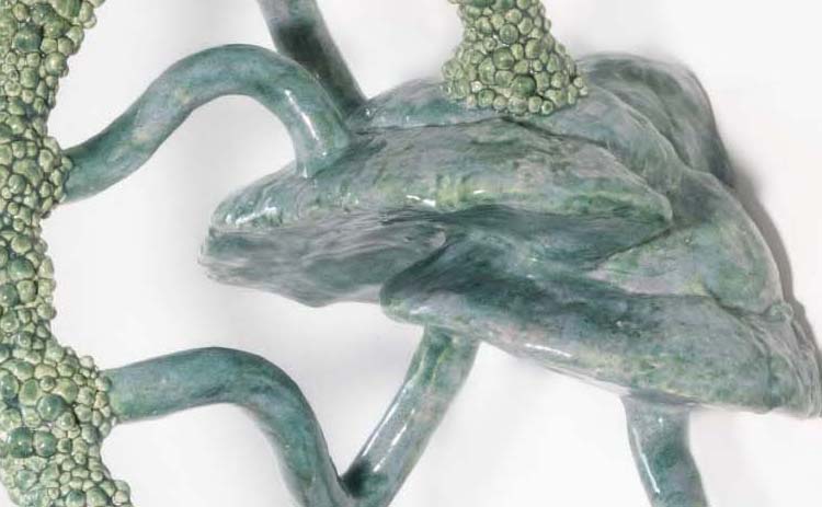 Jan Steenman ou la poésie du mycorhize