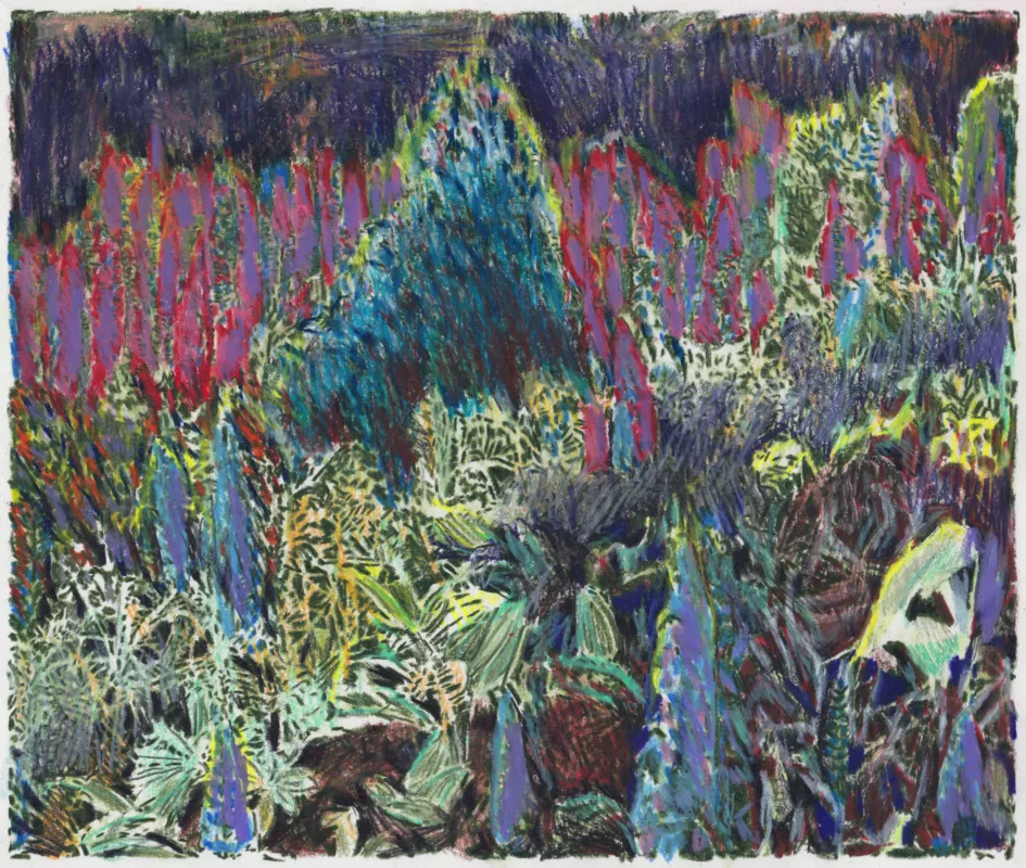 FDLC_DESSIN_lupin-945×800