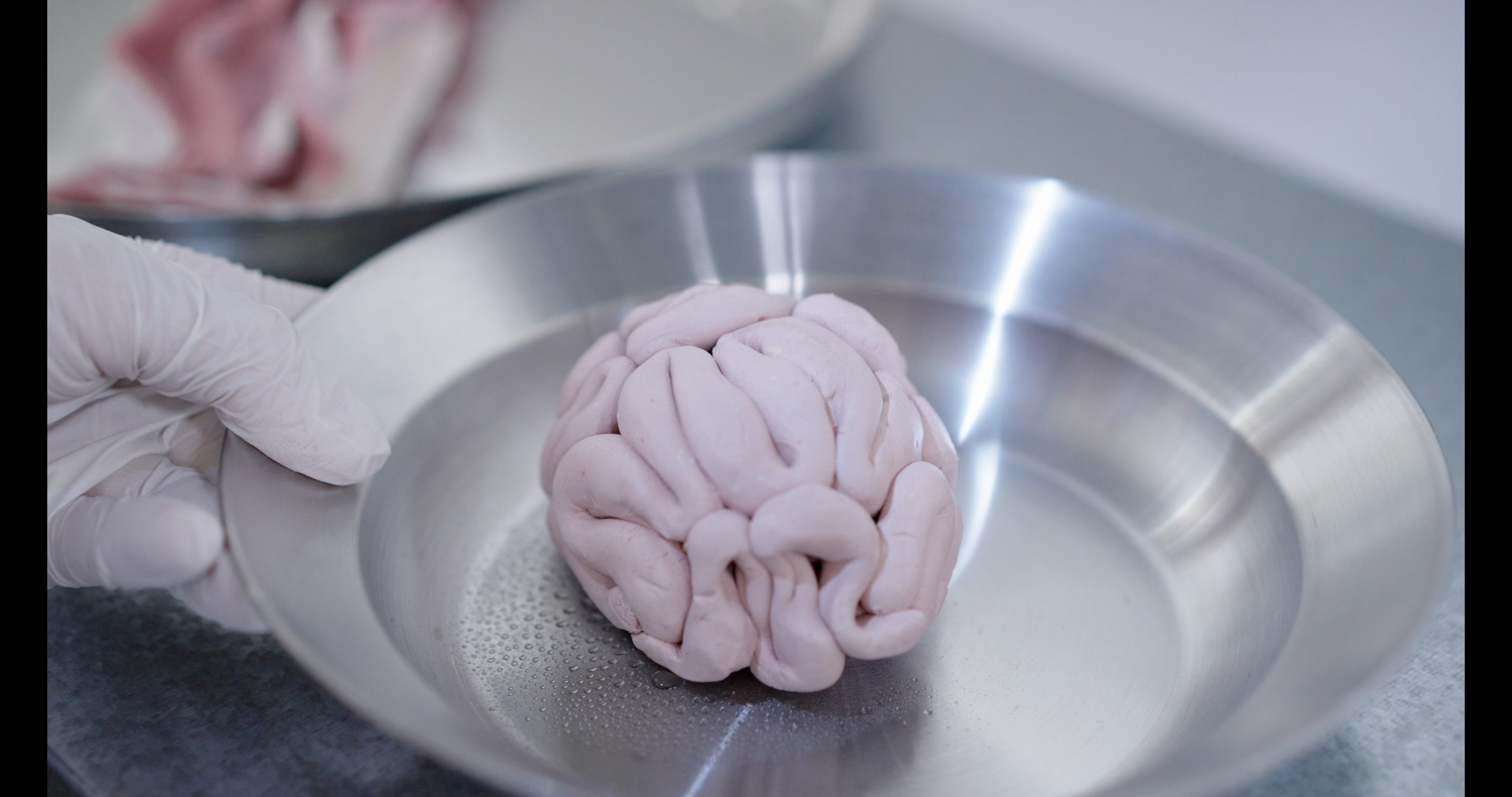 Hisae-Ikenaga-affiche