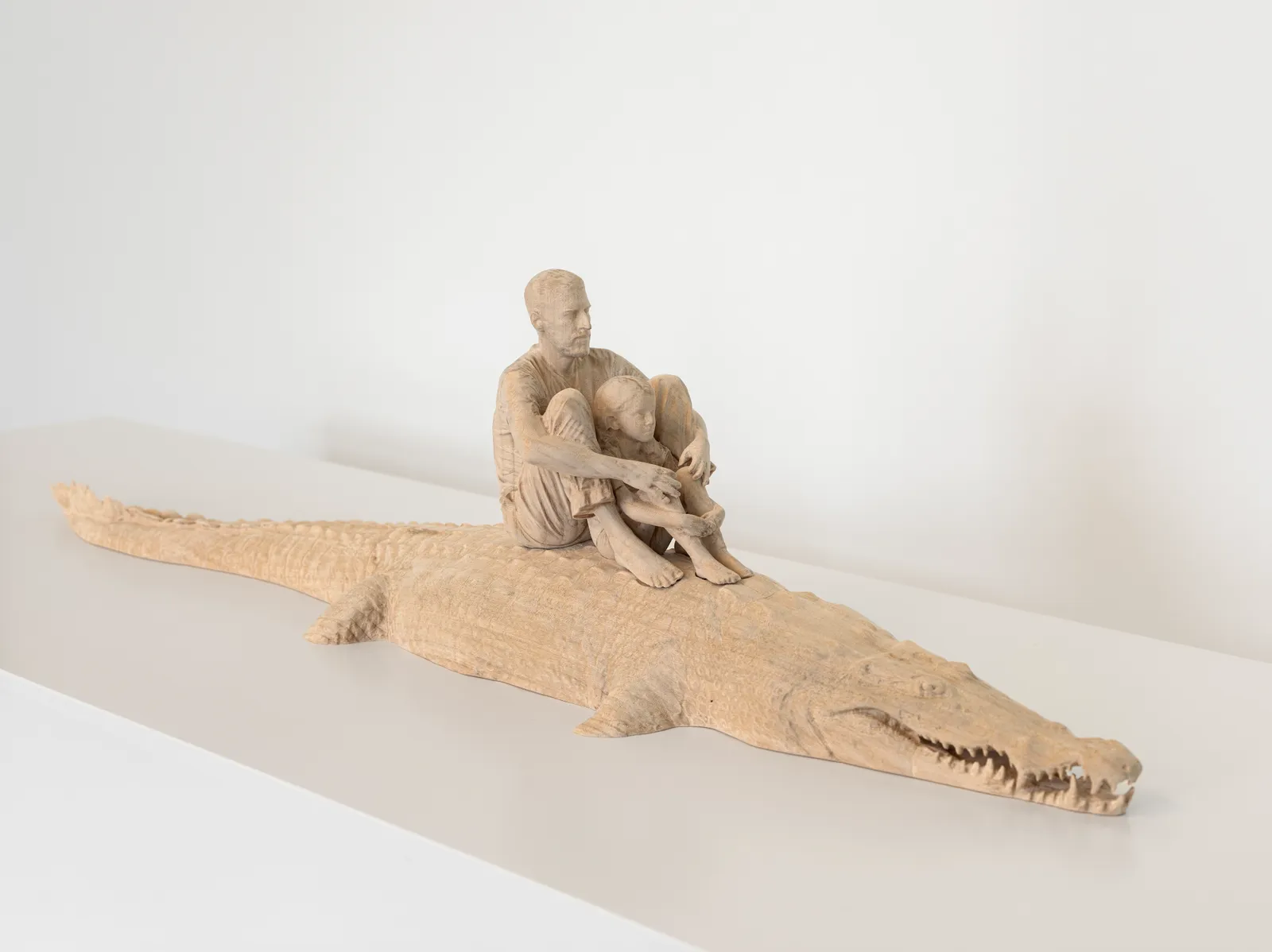 bylarasedbon-fabien-m-relle-la-vie-crocodile